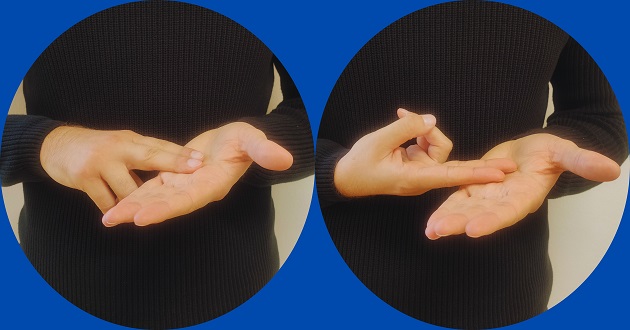 Slovenski znakovni jezik